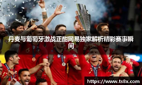 丹麦与葡萄牙激战正酣网易独家解析精彩赛事瞬间